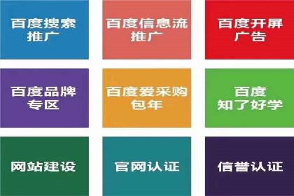 竞价推广中的移动端优化策略：基于移动用户的成功案例
